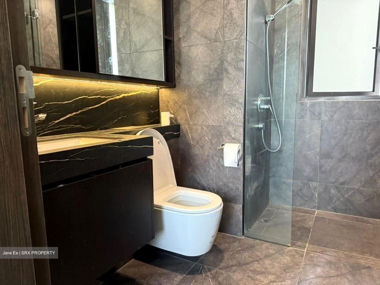 Hyll On Holland (D10), Condominium #627574811